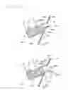 Fig. 72 - Knee protecting airbag device