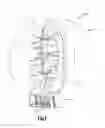 Fig. 02 - Vertical axis wind turbine and generator therefore