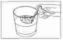 Fig. 01 - Cookie dunking spoon
