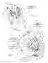 Fig. 02 - Energy-dissipation system
