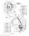 Fig. 02 - Energy-dissipation system