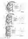 Fig. 05 - Energy-dissipation system
