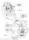 Fig. 02 - Energy-dissipation system
