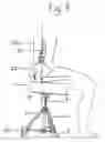 Fig. 09 - Ergonomic musician's stool