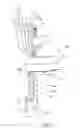Fig. 05 - CHEST SUPPORT