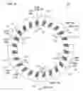 Fig. 16 - Motor with stator configuration for increased coil length and coil space factors