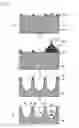 Fig. 04 - Plasma display panel and method for manufacturing plasma display panel