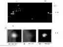 Fig. 04 - Systems and methods for automated, rapid detection of high-atomic-number materials