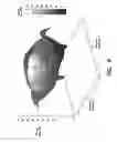 Fig. 07 - REFLECTOR