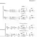 Fig. 09 - Ocular motor controller using principle of vestibulo-ocular reflex