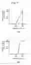 Fig. 08 - Luminance information display apparatus and method