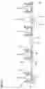 Fig. 44 - LAMP HOLDER, ILLUMINATION DEVICE, DISPLAY DEVICE, AND TELEVISION RECEIVER APPARATUS