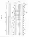 Fig. 09 - Liquid crystal display