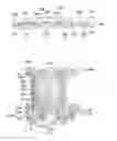 Fig. 01 - Array substrate, liquid crystal display panel and method for manufacturing the same