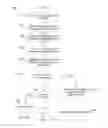 Fig. 13 - Automatic sizing of images acquired by a handheld scanner