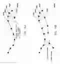 Fig. 17 - Automatic sizing of images acquired by a handheld scanner