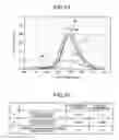 Fig. 08 - IMAGE READING APPARATUS