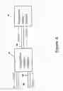 Fig. 05 - Polarization insensitive optical circuit