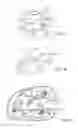 Fig. 03 - Modular rear view mirror and method to assemble it