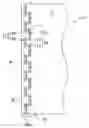 Fig. 01 - Spread illuminating apparatus