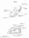 Fig. 04 - Vehicle headlamp