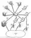 Fig. 01 - Dynamic multi-point access network
