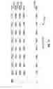 Fig. 22 - Apparatus and method for combining realtime and non-realtime encoded content