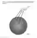 Fig. 02 - GRADED LENSES