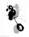 Fig. 01 - IMAGE PROCESSING