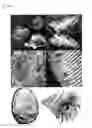 Fig. 02 - Structure colour of photonic crystals, a method of manufacturing thereof and a manufacturing apparatus thereof