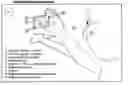 Fig. 01 - Self-zooming camera