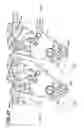 Fig. 44 - Image forming apparatus and developing cartridge