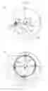 Fig. 07 - Scroll fluid machine with a pin shaft and groove for restricting rotation