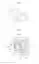 Fig. 06 - Rotary-type fluid machine