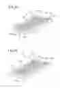 Fig. 06 - Microreactor and production method thereof