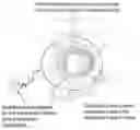 Fig. 01 - Ligand directed toroidal nanoparticles for therapy and diagnostic imaging