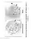 Fig. 06 - Magnetosome gene expression in eukaryotic cells