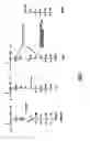 Fig. 02 - Compositions and Methods Related to Fructosamine-3-Kinase Inhibitors