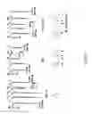 Fig. 16 - METHODS AND COMPOSITIONS FOR CONTROL OF GYPSY MOTHS, LYMANRIA DISPAR