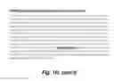 Fig. 07 - Interferon-antibody fusion proteins demonstrating potent apoptotic and anti-tumor activities