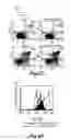 Fig. 28 - Interferon-antibody fusion proteins demonstrating potent apoptotic and anti-tumor activities