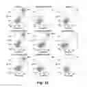 Fig. 35 - Interferon-antibody fusion proteins demonstrating potent apoptotic and anti-tumor activities
