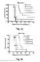Fig. 40 - Interferon-antibody fusion proteins demonstrating potent apoptotic and anti-tumor activities