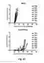 Fig. 41 - Interferon-antibody fusion proteins demonstrating potent apoptotic and anti-tumor activities