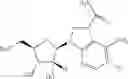 Fig. 43 - COMPOUNDS, COMPOSITIONS AND METHODS FOR TREATING VIRAL INFECTION