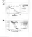 Fig. 04 - Integrin αβspecific antibodies and peptides
