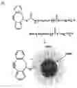 Fig. 01 - Alkynes and methods of reacting alkynes with 1,3-dipole-functional compounds