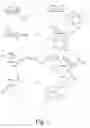 Fig. 04 - Alkynes and methods of reacting alkynes with 1,3-dipole-functional compounds