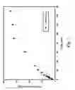Fig. 07 - Microcellular thermoplastic thin films formed by a solid-state foaming process