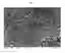 Fig. 07 - Composites of inorganic microparticles having a phosphated surface and alkaline earth carbonate nanoparticles